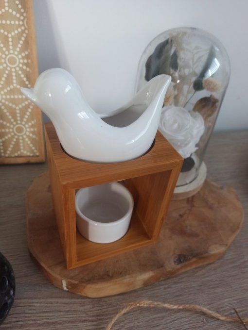Bruleur oiseau Blanc