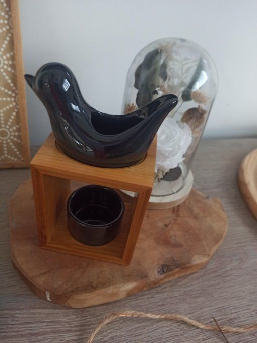 Brûleur oiseau Noir